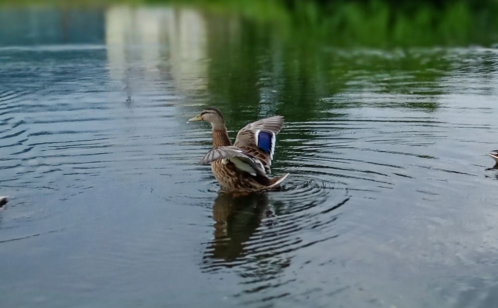 Photograph by Оксана