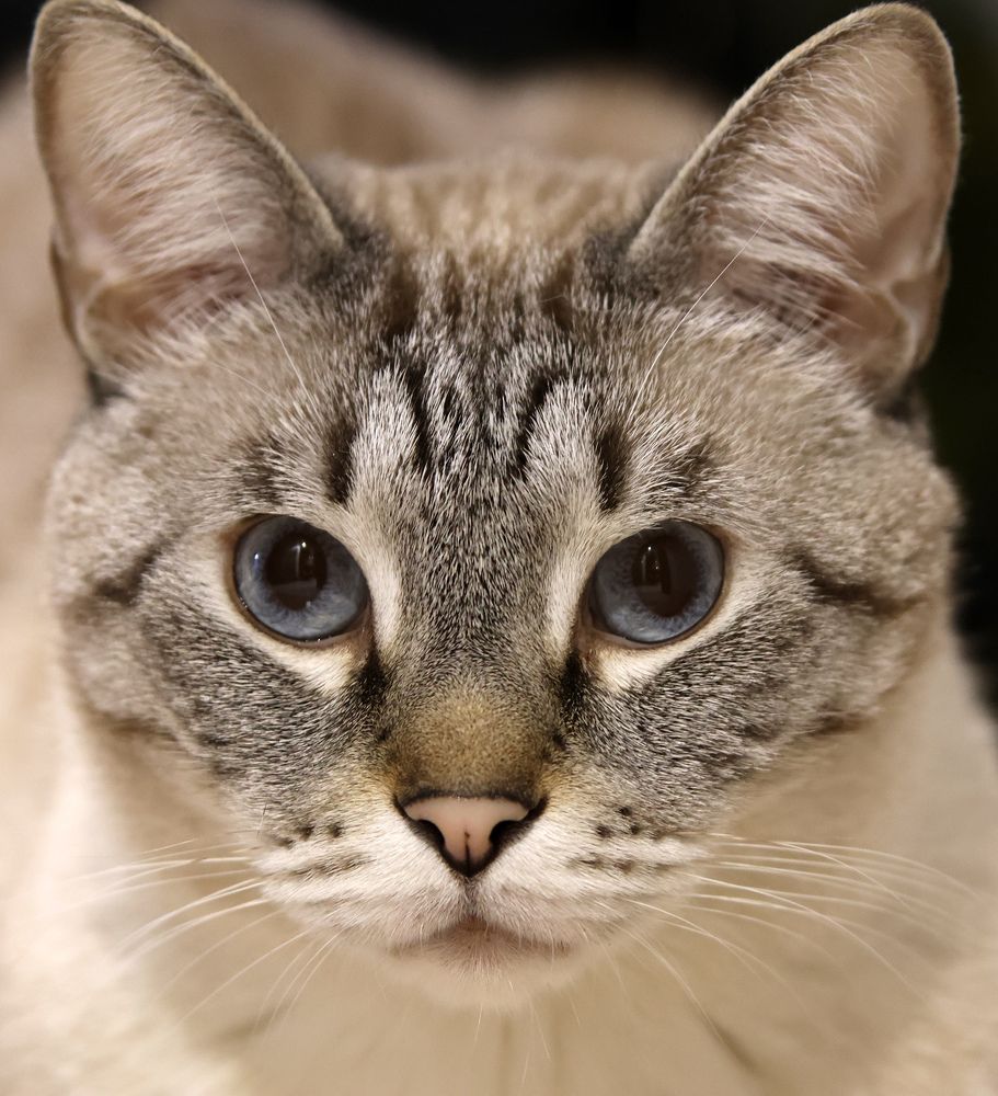 Photograph by Волынский Виктор