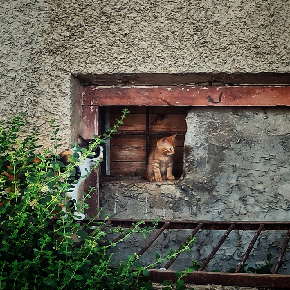 Фотография автора Вадим Кармазин