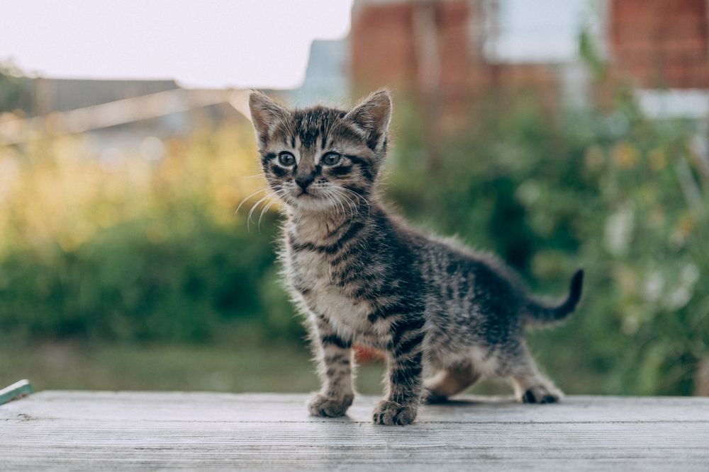 Photograph by Татьяна Зубехина