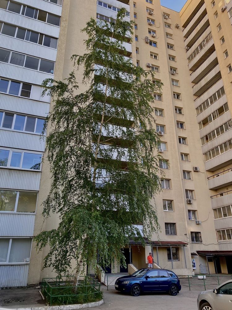 Фотография автора Gala Timaeva