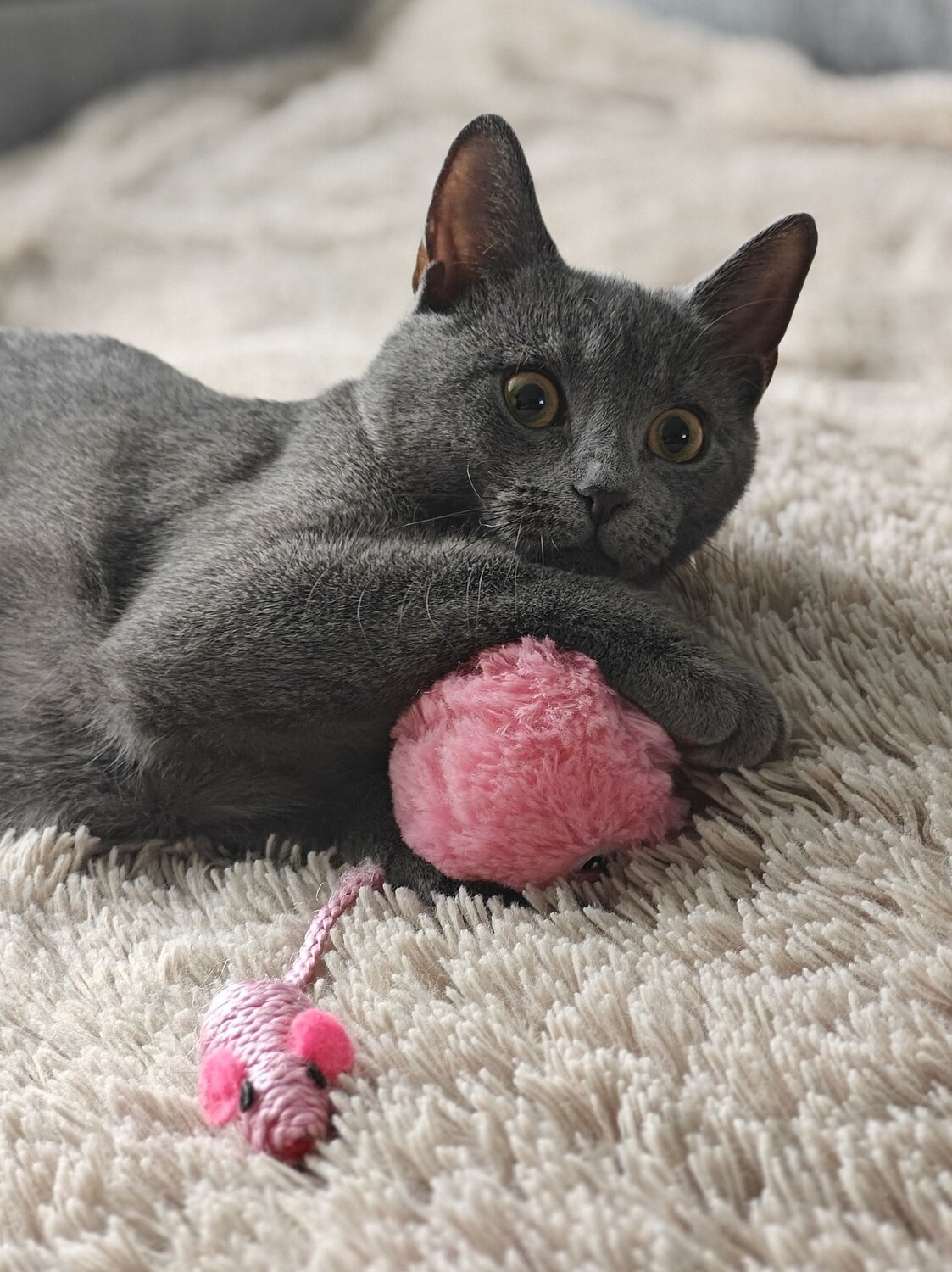 Игривая