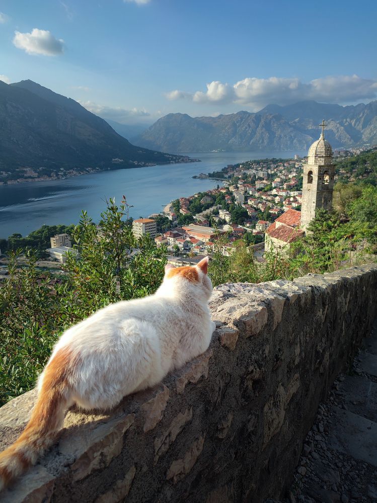 Photograph by Оксана Бочина