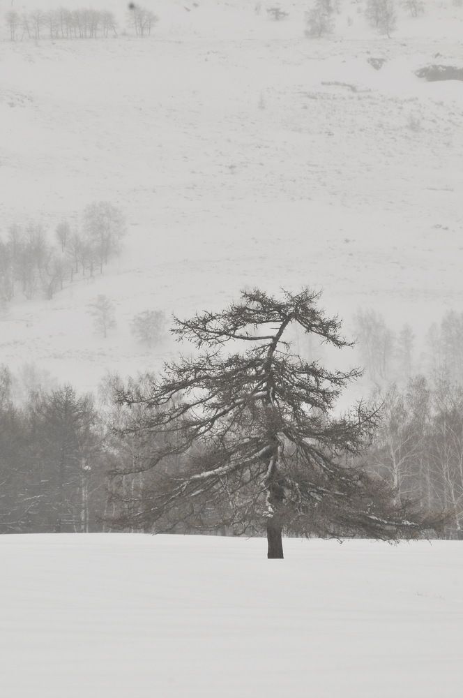 Photograph by Фарит Зиатдинов