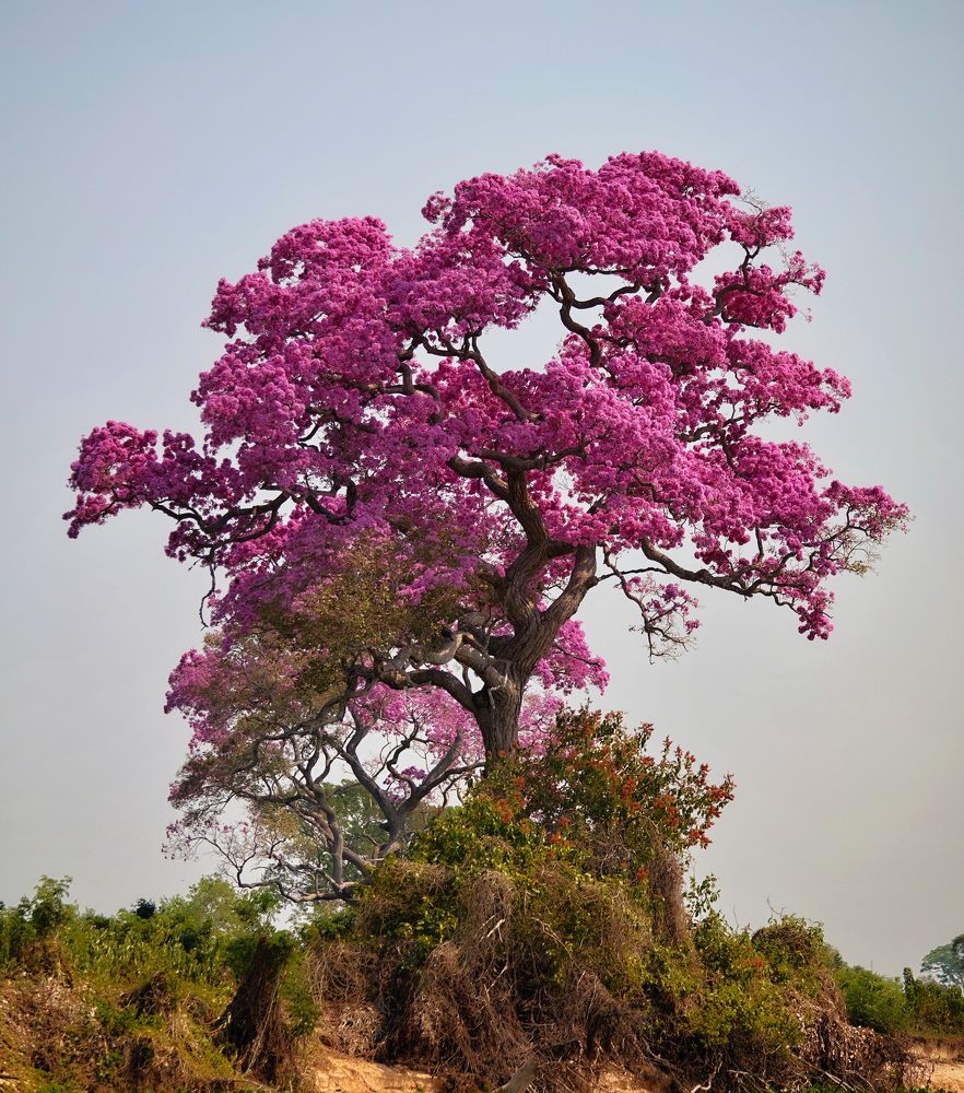Photograph by Игорь Щербаков