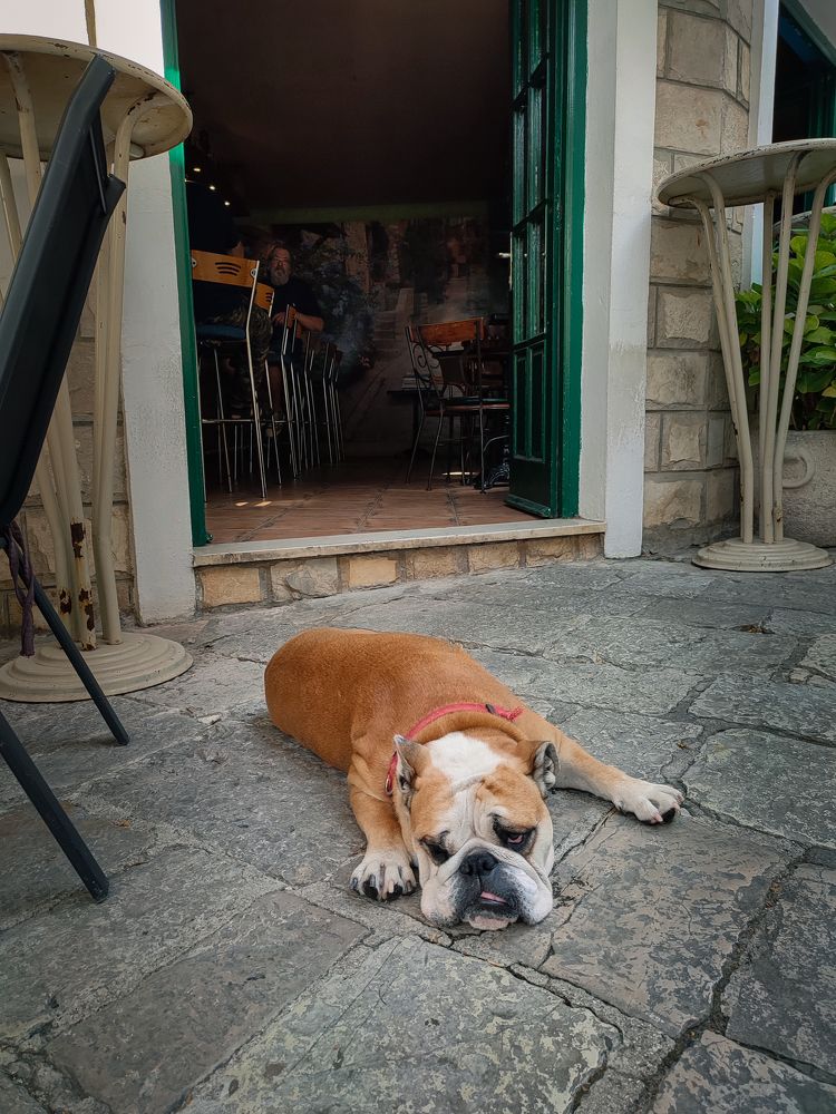 Photograph by Оксана Бочина