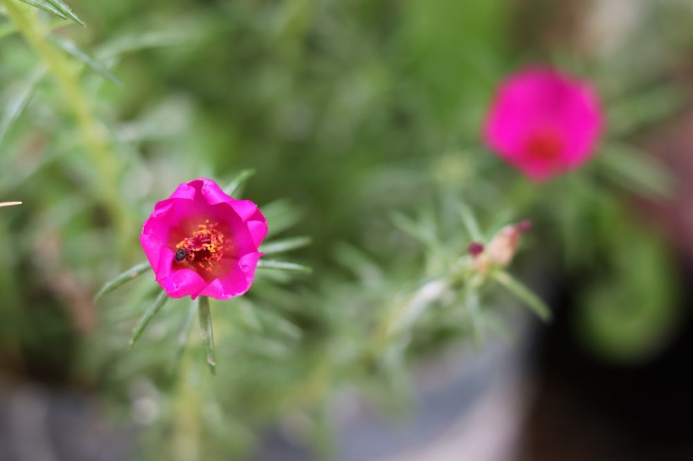 Фотография автора zakaria ahmad