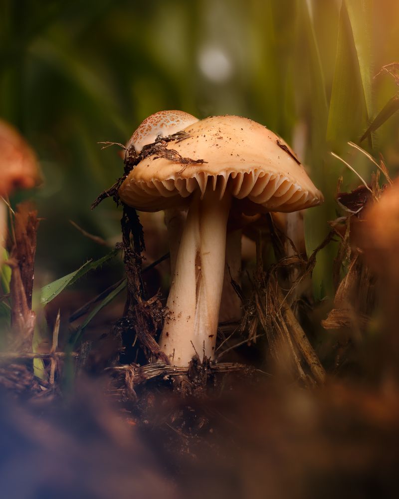 Photograph by Антон Чепуркин