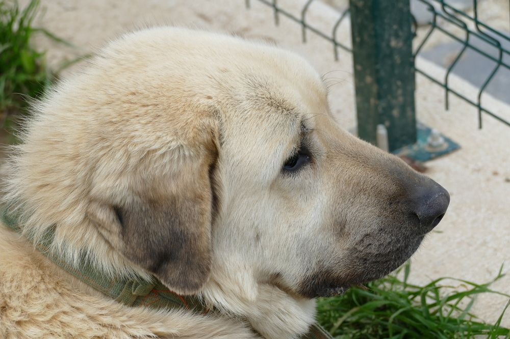 Photograph by Viktorija Spasenoski