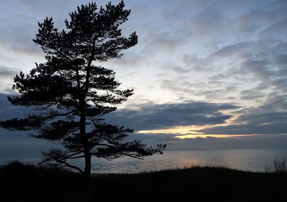 Photograph by jelena konickaja