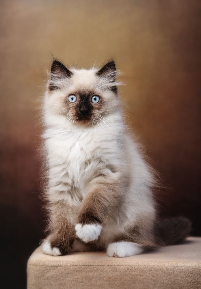 Photograph by Martina Spoljarić Pracaic