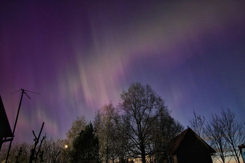 Photograph by Дарья Чистякова