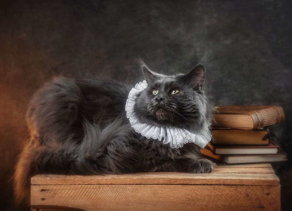 Photograph by Martina Spoljarić Pracaic