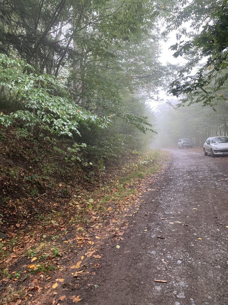 Photograph by Mahnaz Mohsenzadeh Kermani