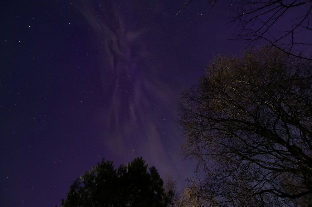 Photograph by Дарья Чистякова