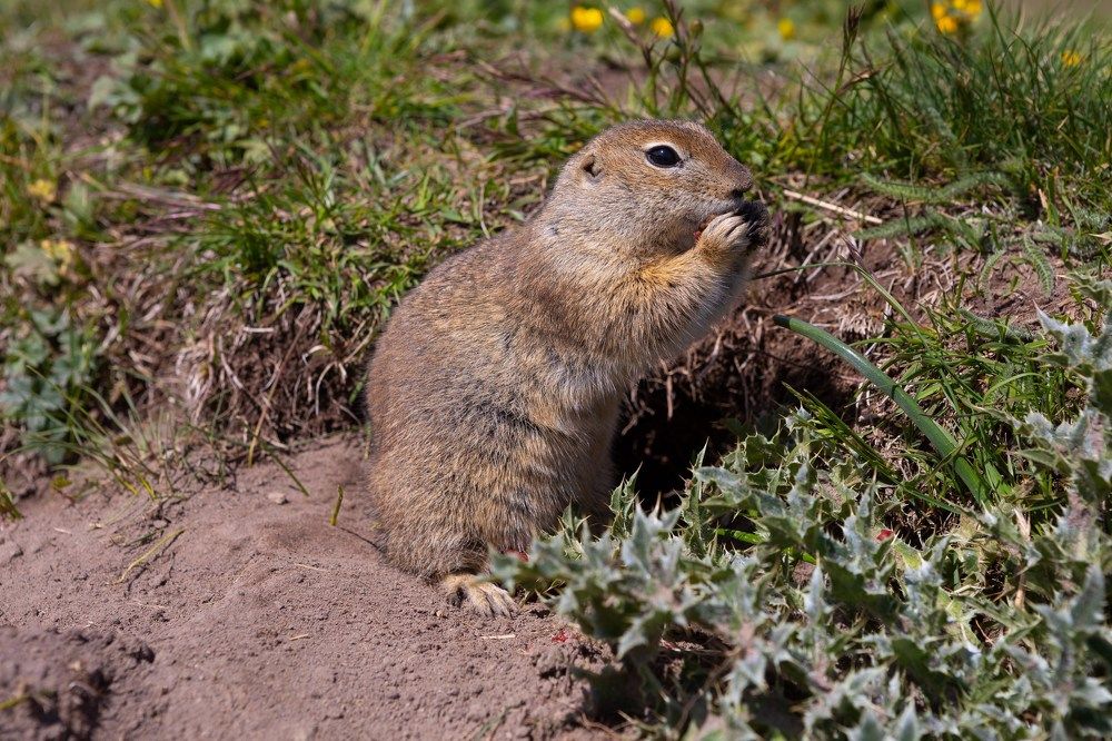 Photograph by Татьяна Скворцова