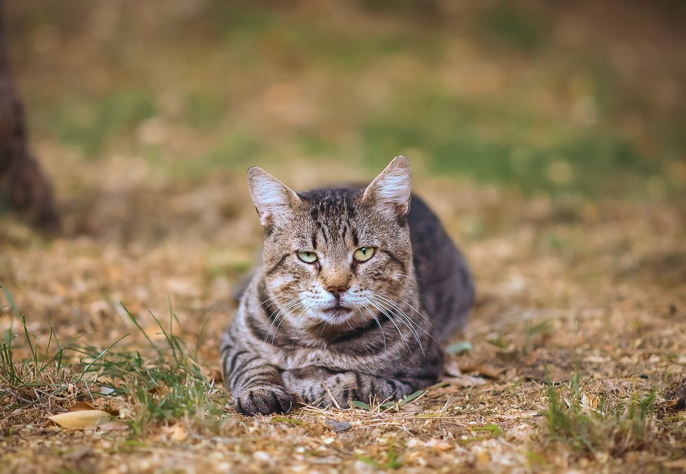 Photograph by Marina Ivanova