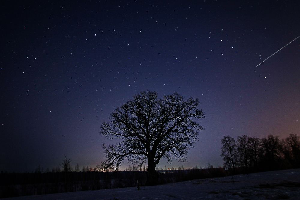 Photograph by Anatoliy Buyanov