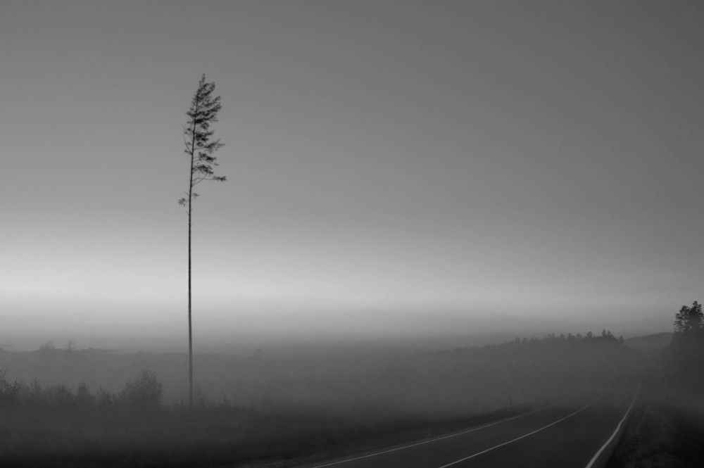 Photograph by Диана Бородзе