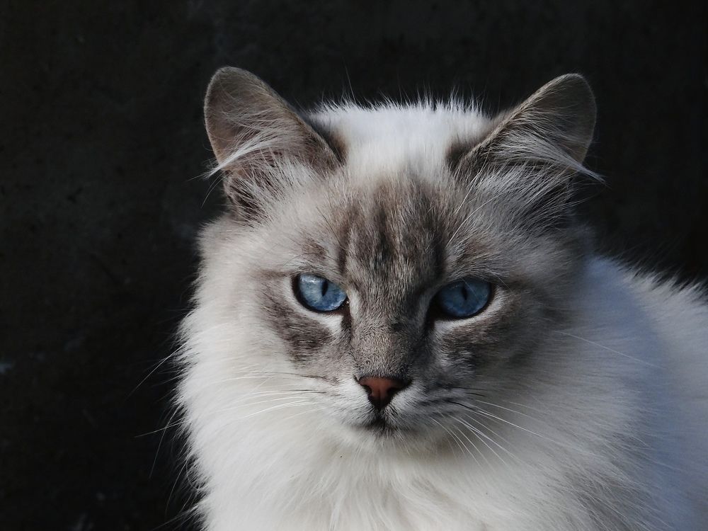 Photograph by Данила Мельников