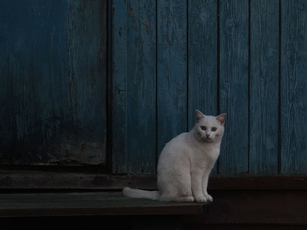 Photograph by Данила Мельников