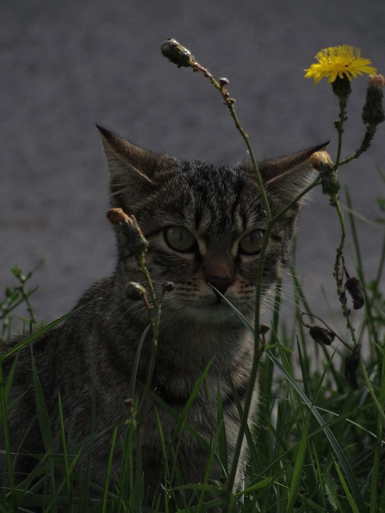 Photograph by Данила Мельников