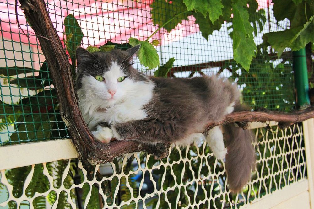 Photograph by Дарья Кирина