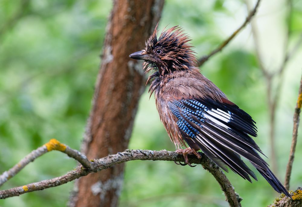 Photograph by Артём Кривошеев