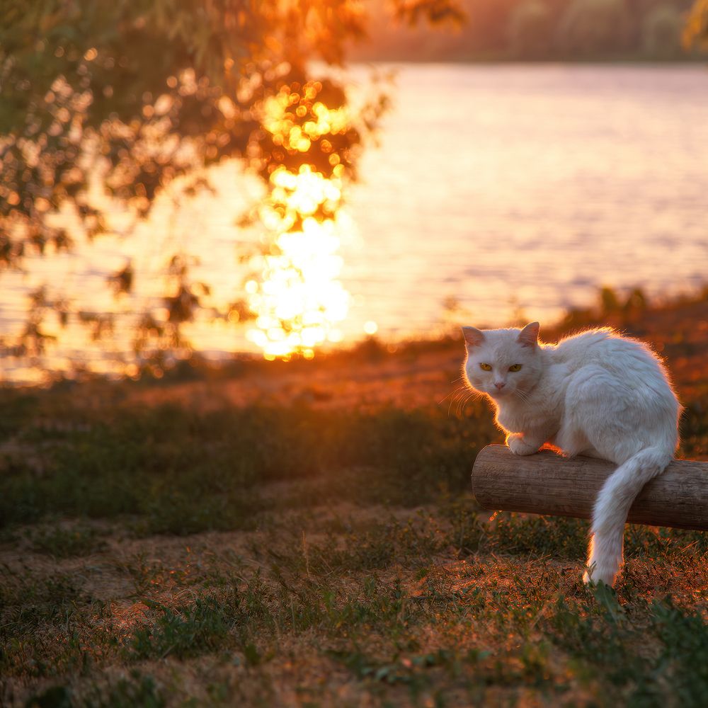 Photograph by Макаров Роман