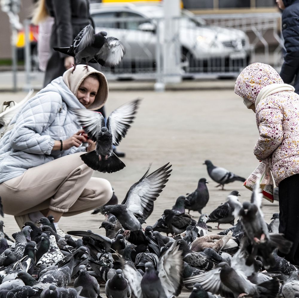 Photograph by Наталья Овчинникова