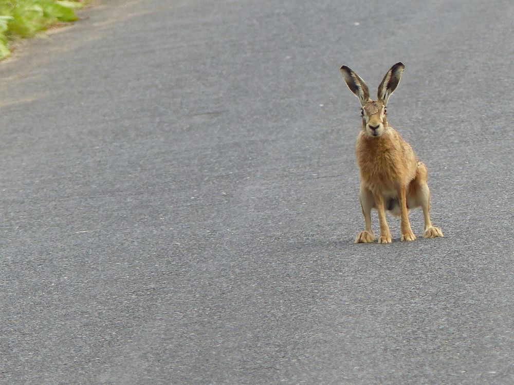 Photograph by Isabella Northrop