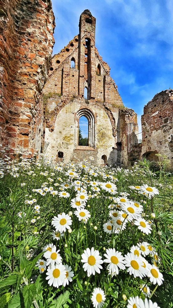 Photograph by Алексей Новиков