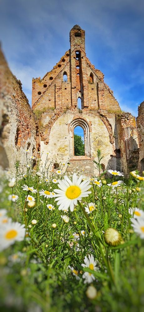 Photograph by Оксана Новикова