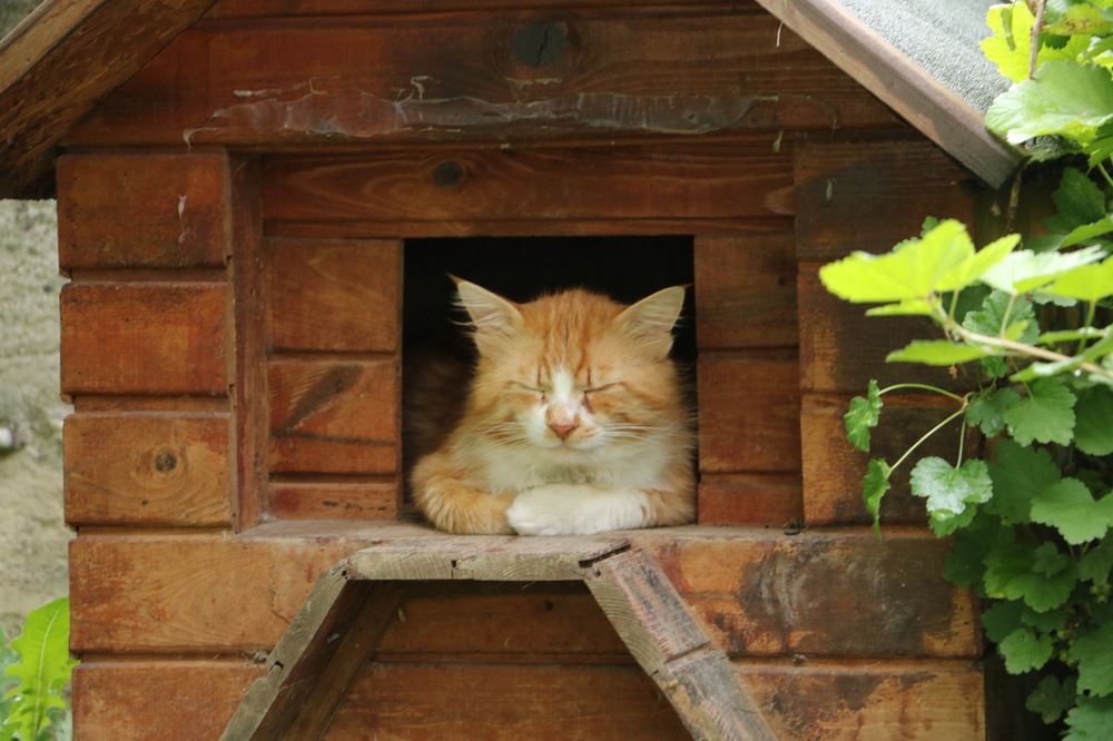 Photograph by Cengiz Yalcin