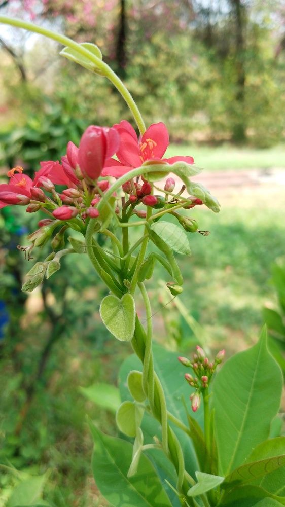 Photo #10702247