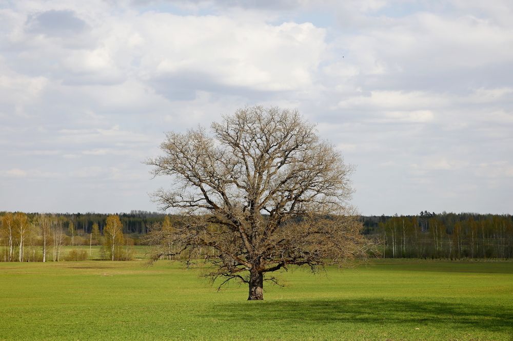 Фотография автора Сергей Барановский