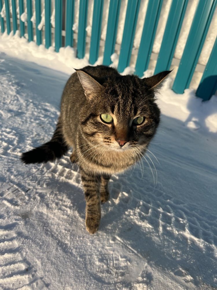 Photograph by Елена Короткова