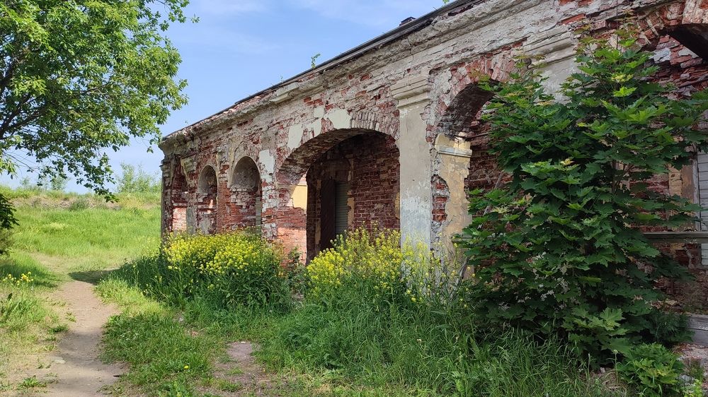 Фотография автора Елена