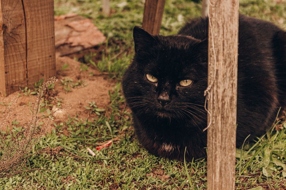 Photograph by Зульфия Вакилова