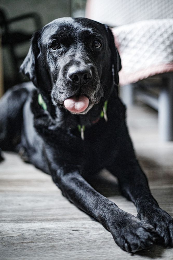 Photograph by Екатерина Козловская