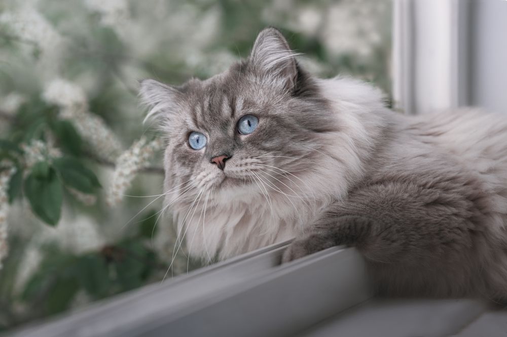 Photograph by Марина Григорьева