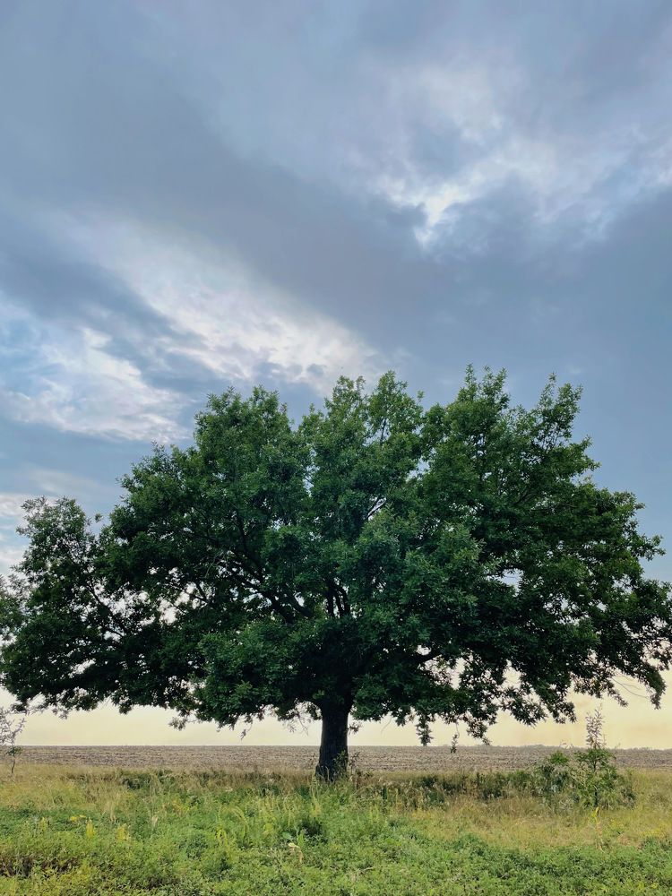 Photograph by Екатерина Кузнецова