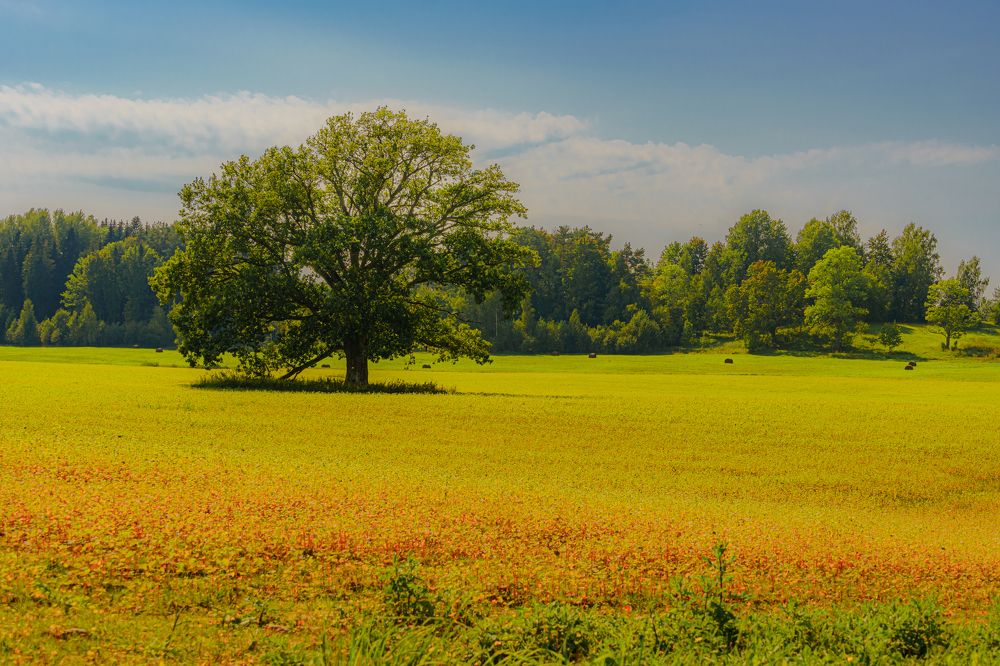 Photograph by Valdis Serzhans