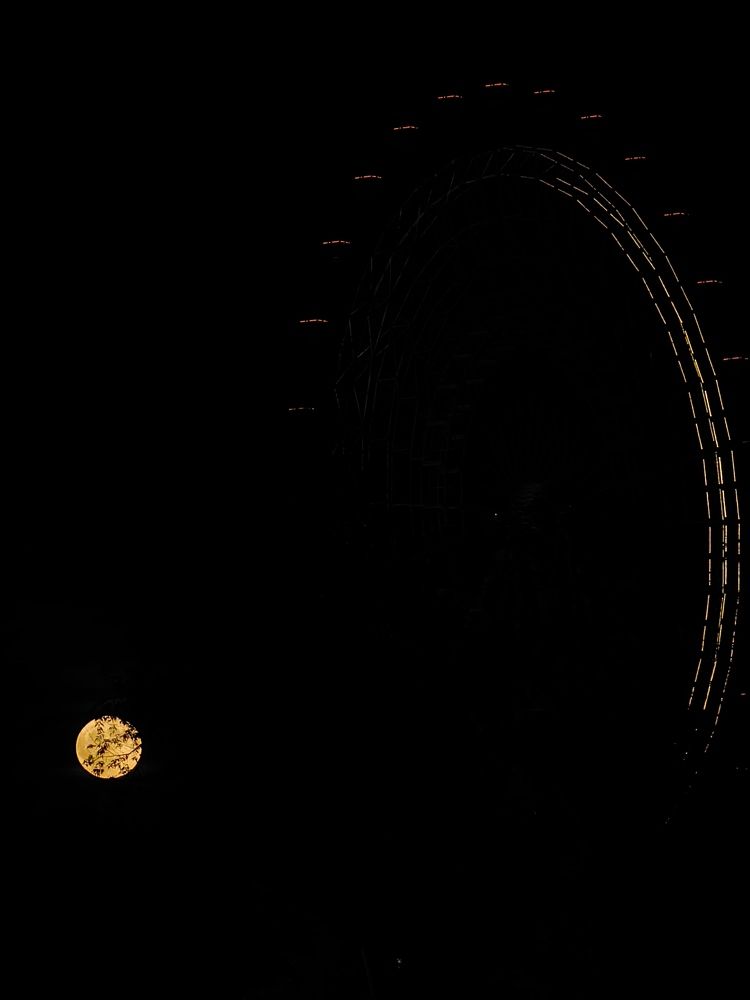 Photograph by Екатерина