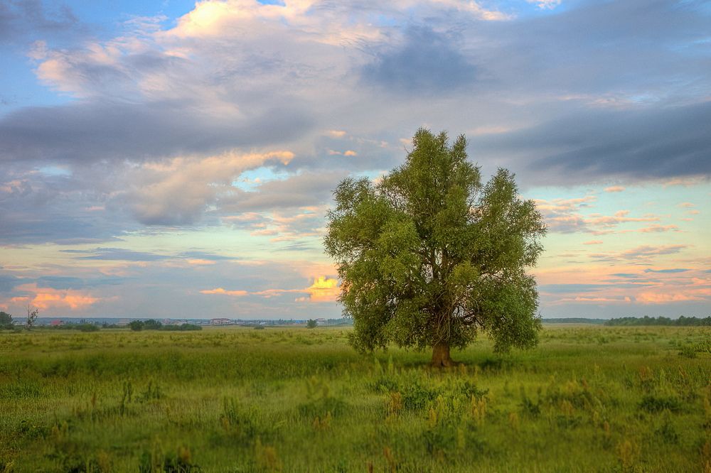 Photograph by Юрий Спасенников