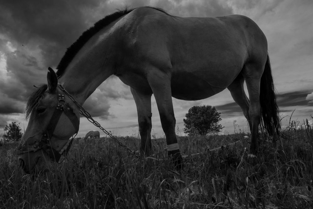 Фотография автора Владимир