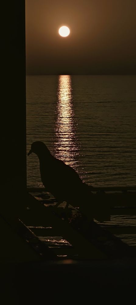 Photograph by Binyamin Waldayes