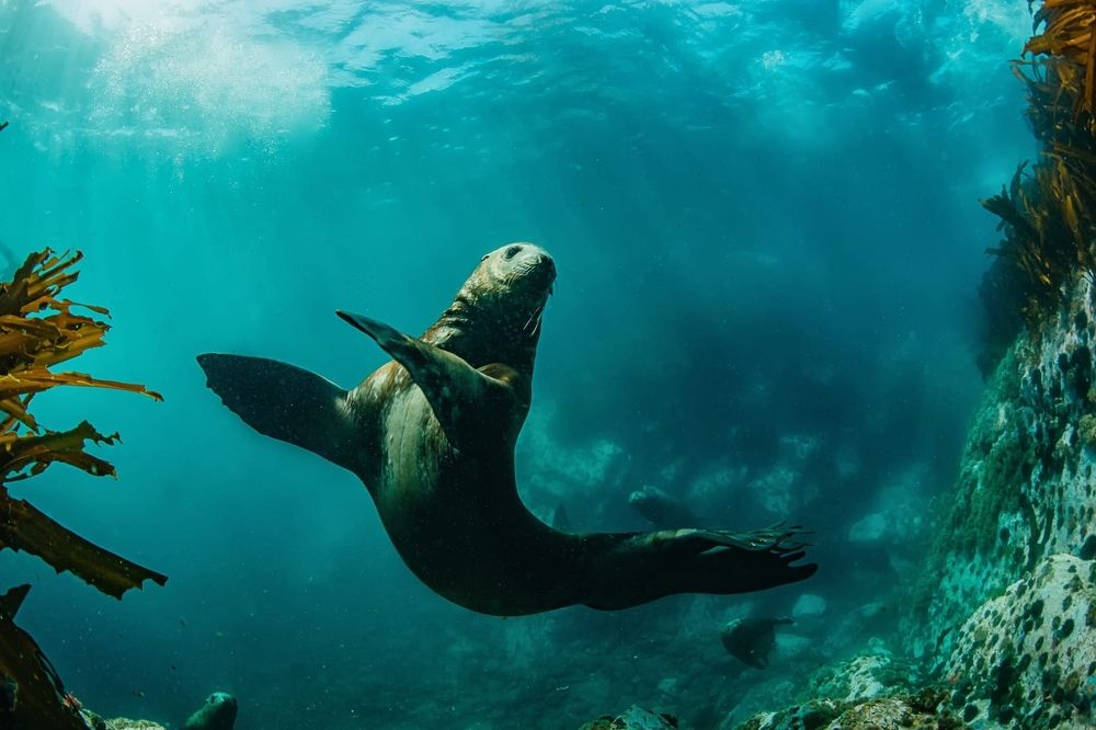 Фотография автора Евгения Кирпиченкова (Клипп)