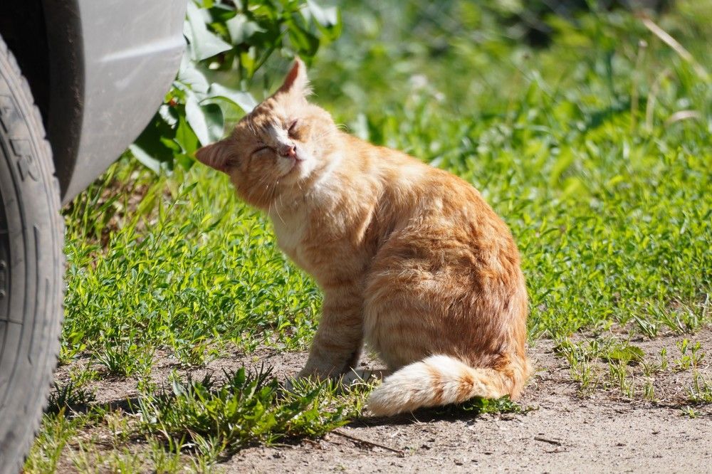 Photograph by Алфия Бугакова