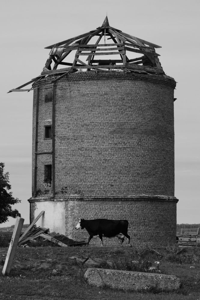 Photograph by Арина Бедрик